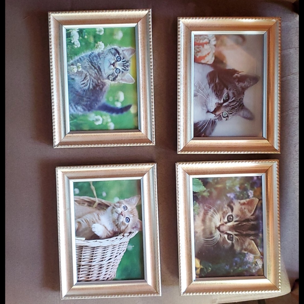 3.5x5 Photo Frame